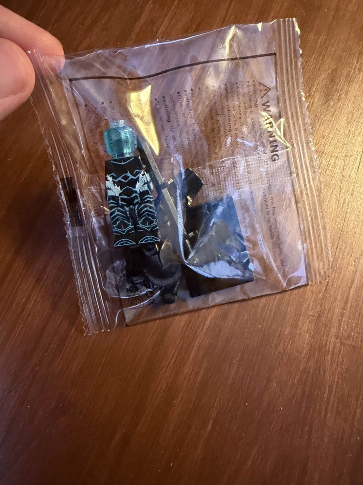 Warrior- Custom Minifigure- Solo Leveling Themed