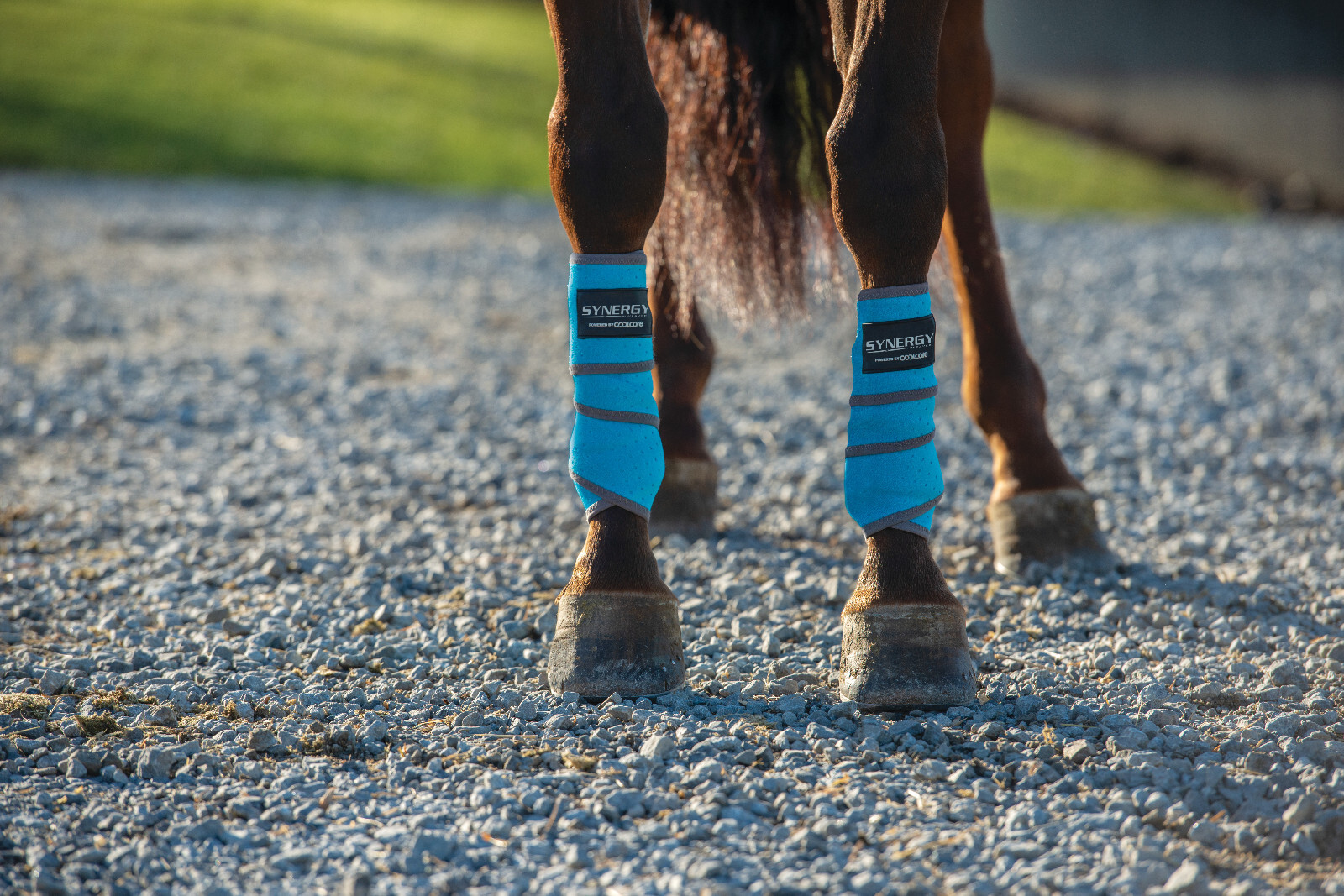 Weaver Leather CoolAid Equine Icing and Cooling Polo Wraps, Lg 36911-60-31-Tqu