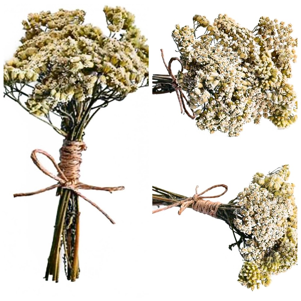 White Yarrow Dried Herb Bouquet
