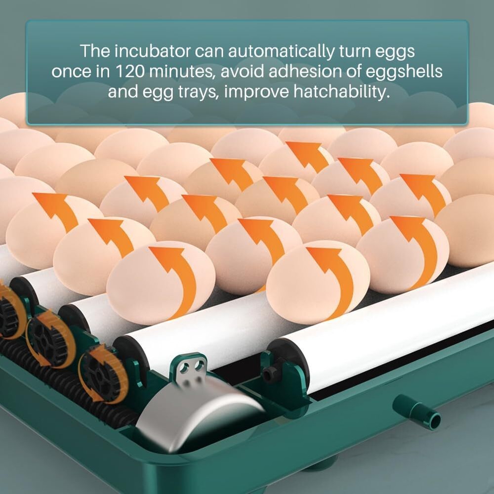 Egg Digital Poultry Hatcher Machine Automatic Egg Turning Temperature & Humidity