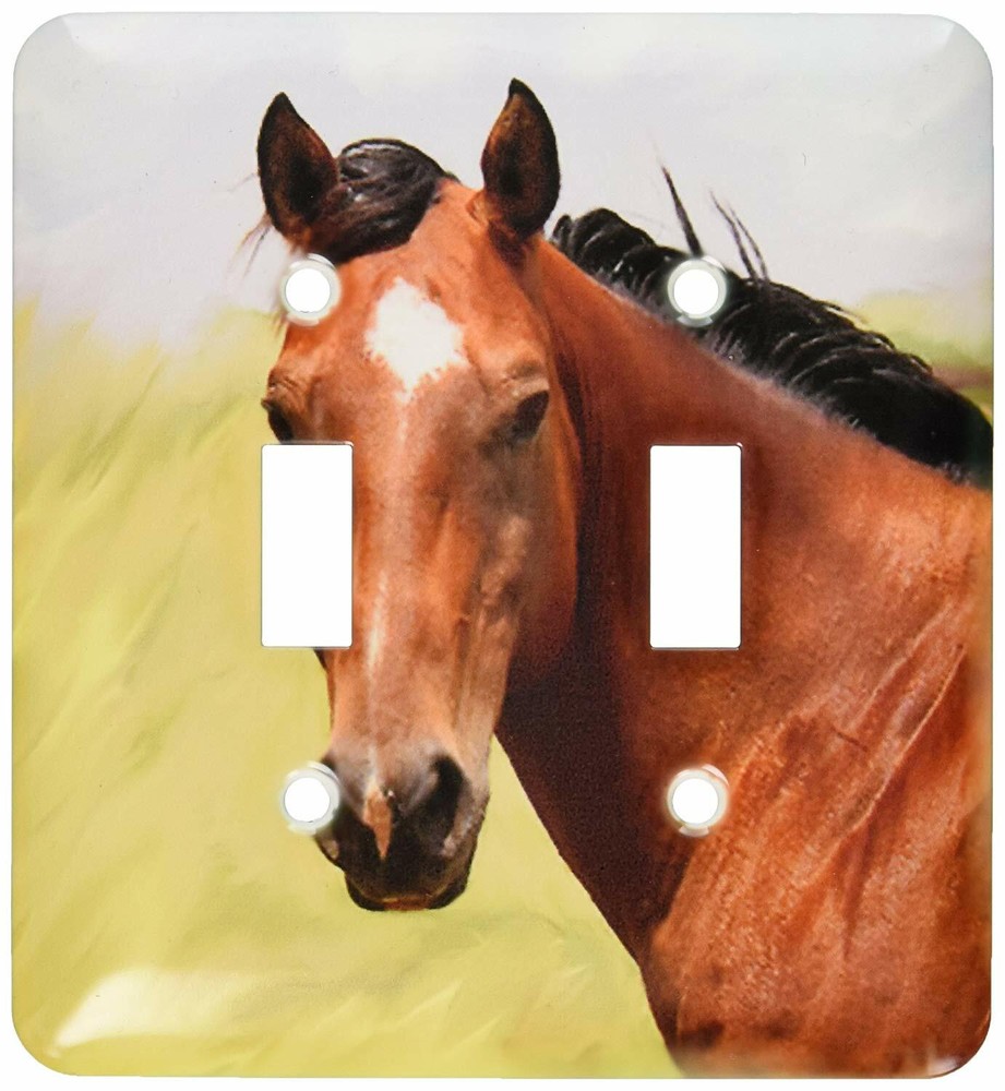 3dRose lsp_4592_2 Paint Horse Portrait Double Toggle Switch