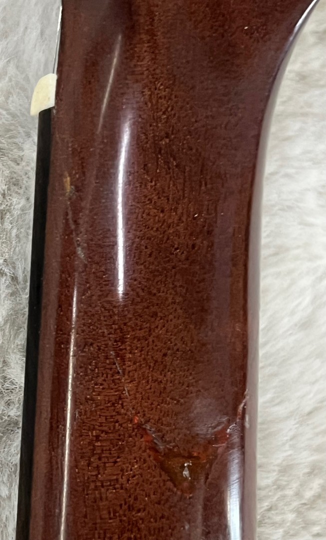 Luna Guitars Vista Mustang Wild Horse Body Acoustic Electric Guitar