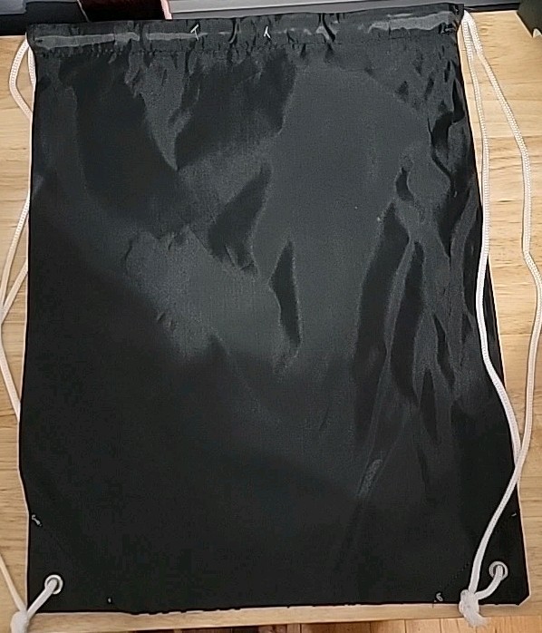 Disney Minnie Mouse & Daisy Duck Drawstring Bag NWT