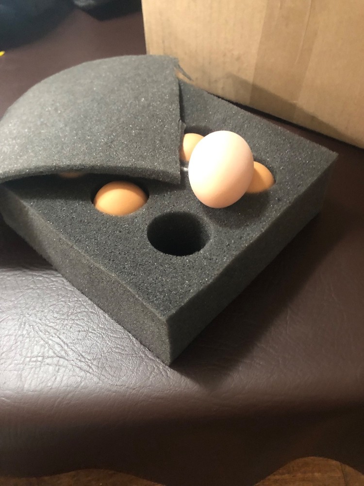 6 Light Brahma Hatching Eggs NPIP Certified flock