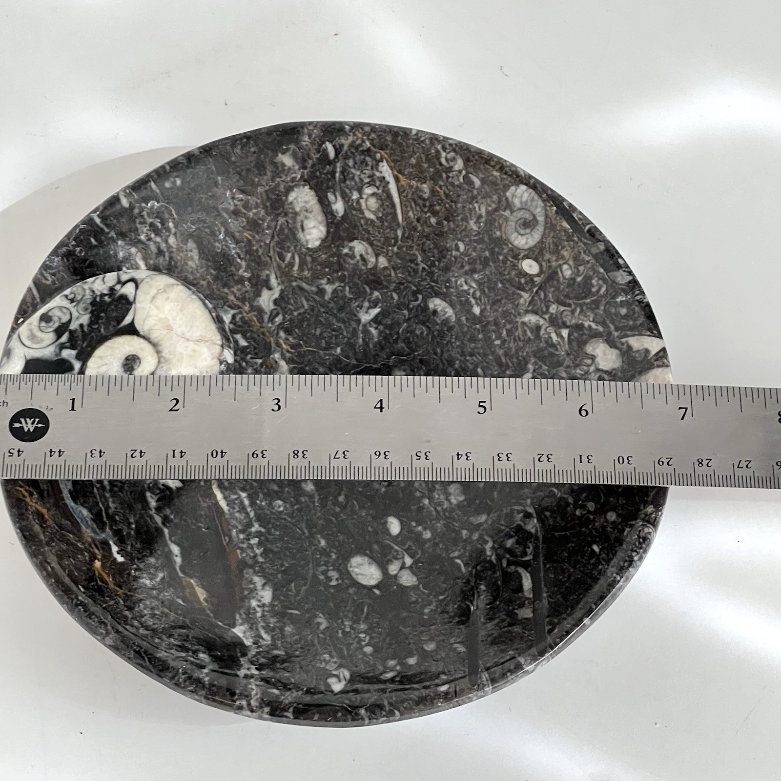 Hand Carved Ammonite Orthoceras Fossil Bowl Ashtray Trinket Jewelry Tray 7”