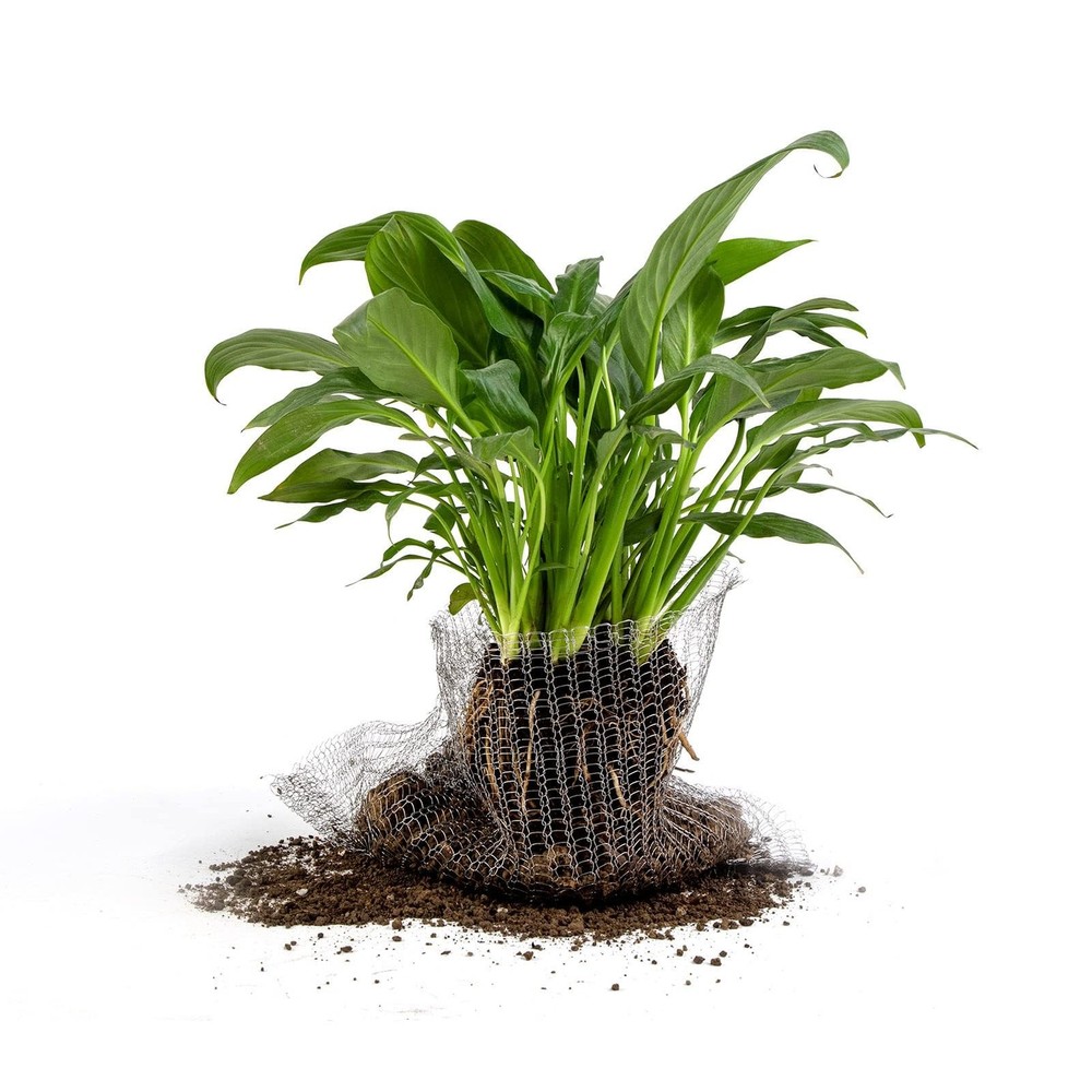 Root Guard Gopher Proof Wire Basket Mole and Vole Mesh 5 Gallon, Silver