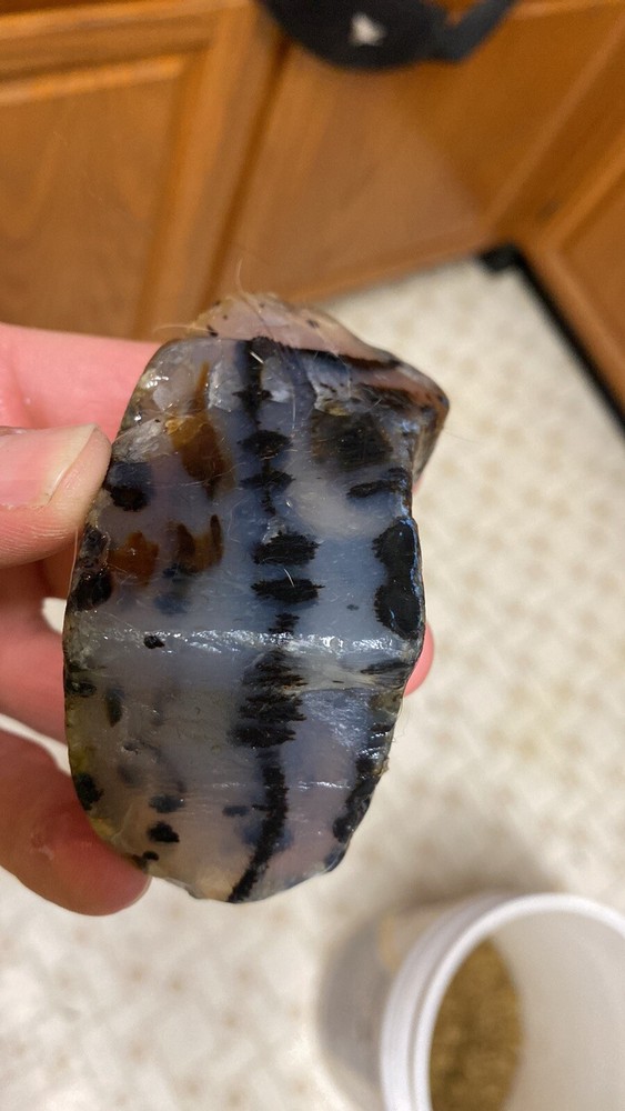 Montana Moss Agate Super High Grade