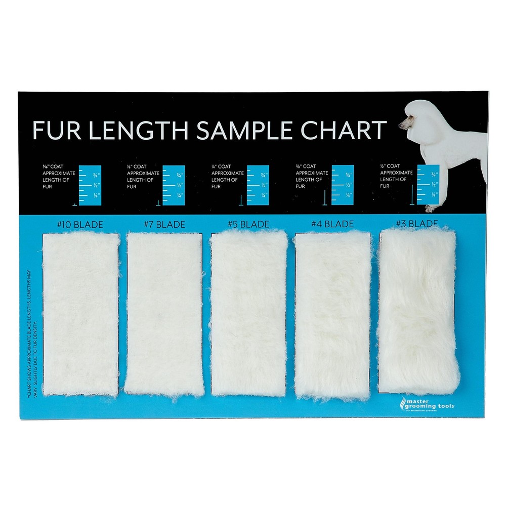 Hair Length Sample Chart