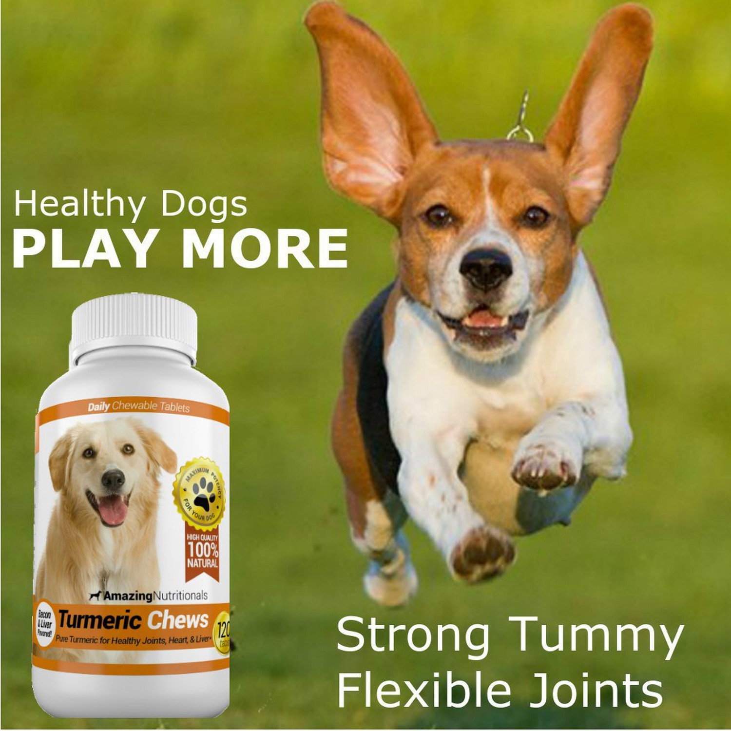 Amazing Turmeric for Dogs Curcumin Pet Antioxidant, Eliminates Joint Pain Inf...