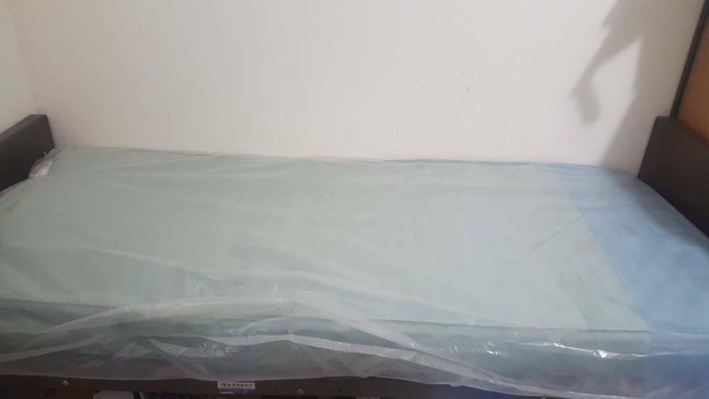 Roscoe Medical Home Nursing Bed