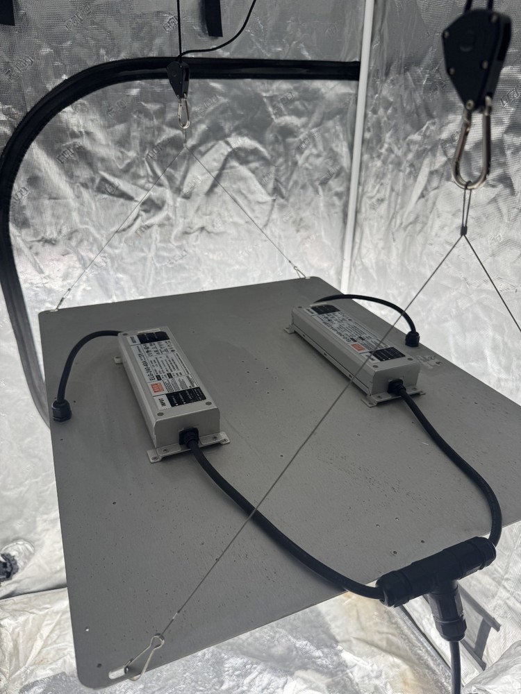 Spider Farmer SF-4000 full spectrum LED grow light