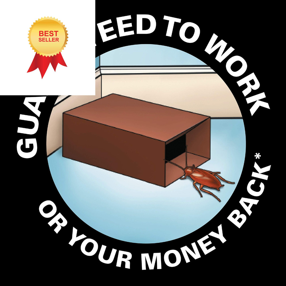 Black Flag Roach Motel Traps, 2-Count, 1-Pack 1 Pack,