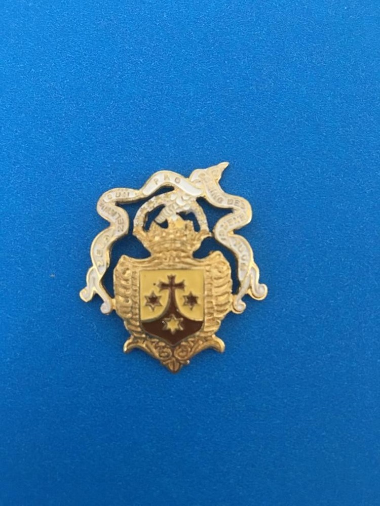 Carmelite lapel pin