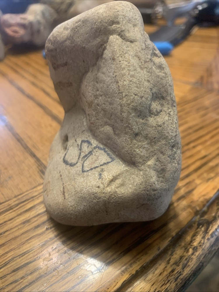 Fossils
