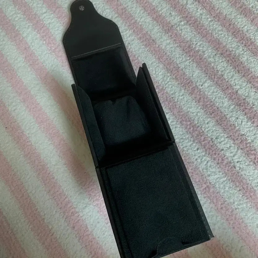 Audemars Piguet Portable Watch Pouch Case Official