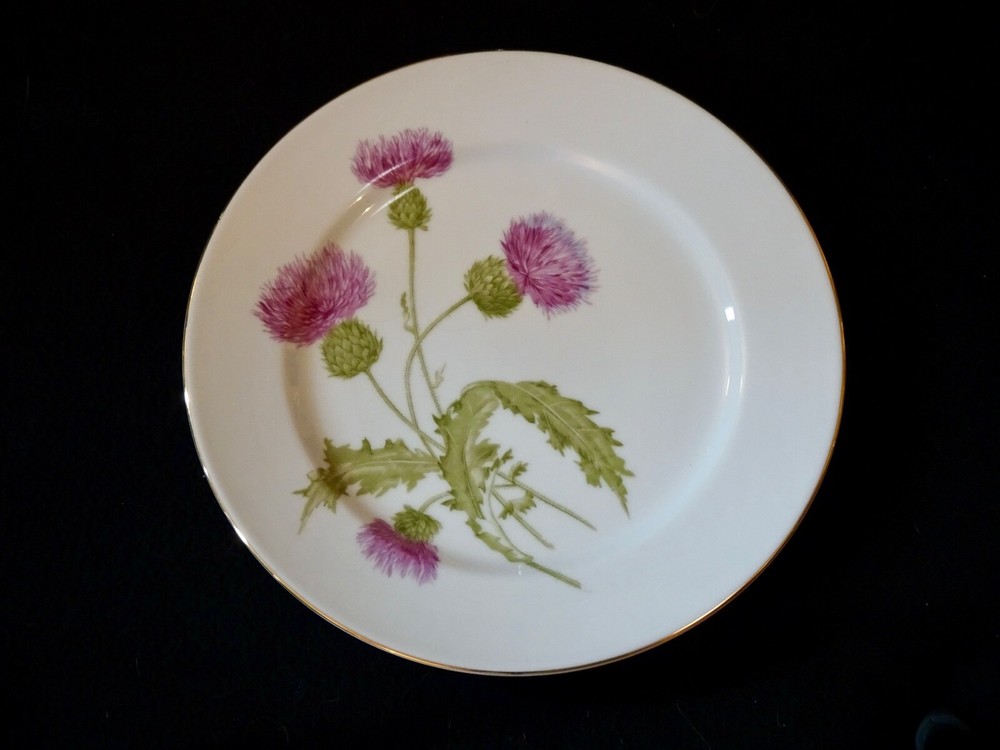 Saji Scotch Thistle, Japan China Dinner Plate.