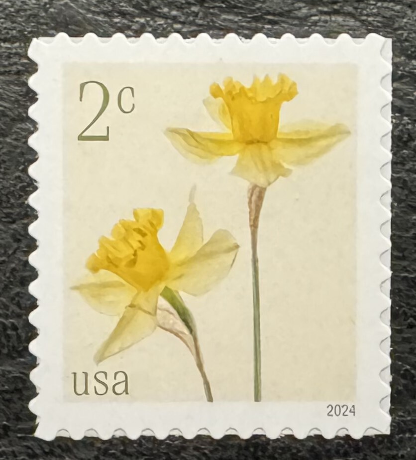2024 Scott #5898 - 2¢ - DAFFODILS - Single Mint NH