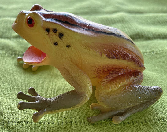 Exotic Frogs and Toads - Hollow Vinyl