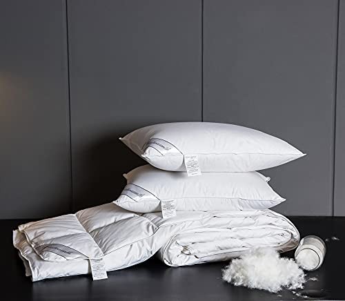 Lightweight 100% Goose Down Comforter/Blanket/Duvet Insert for Queen White