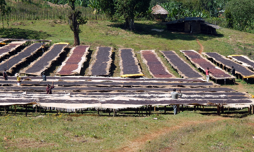 5 BEAN ESPRESSO COFFEE BEANS DARK ROASTED 5 POUNDS