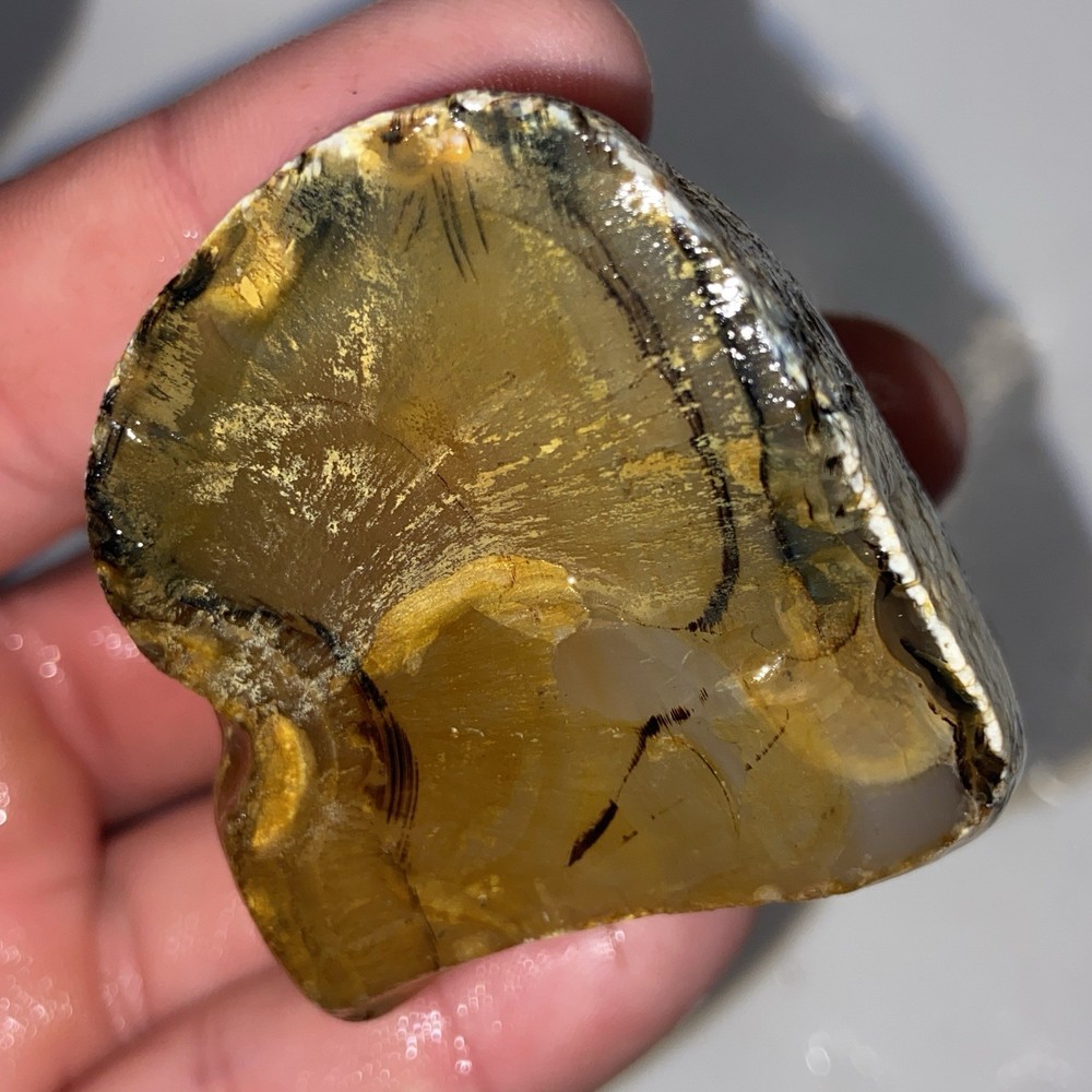 Raw Montana Agate Rough Stone 3.60 Oz