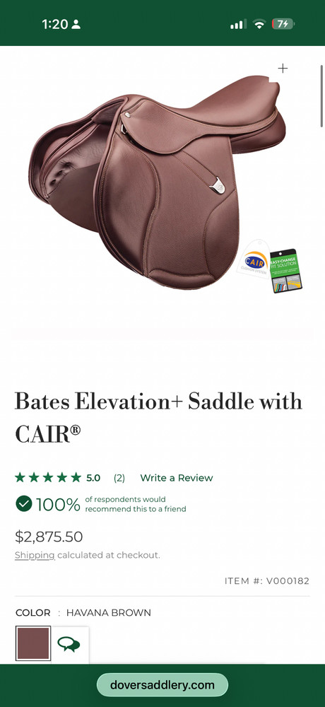 Bates elevation jumping saddle