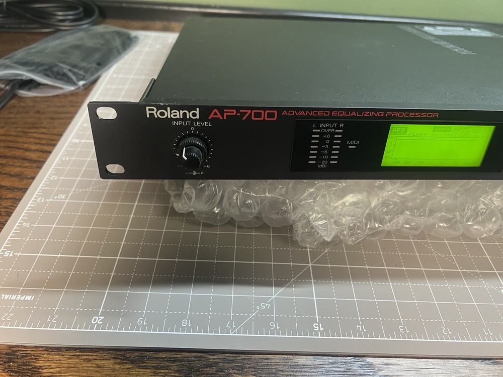 Roland AP-700 Advanced Equalizing Processor AP 700  AP700