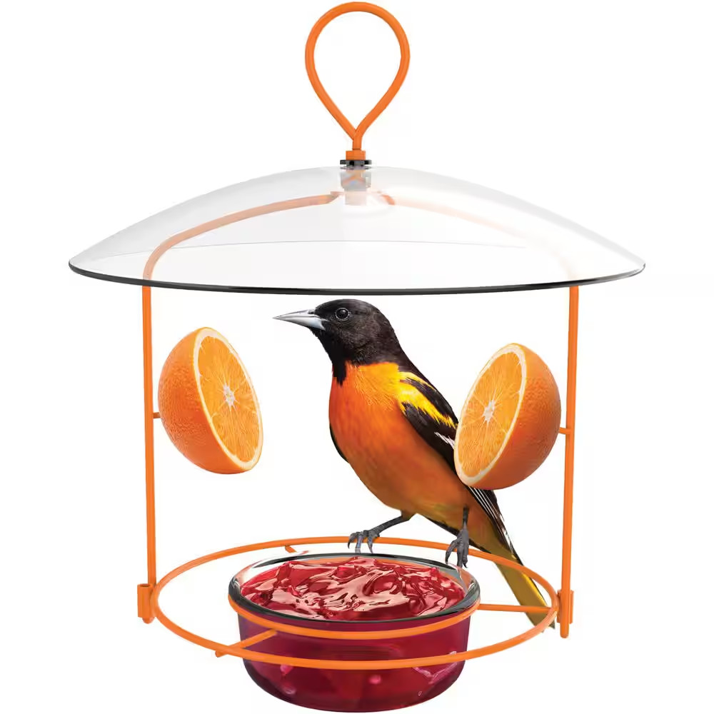 Oriole Wire Feeder 3/4 Cup
