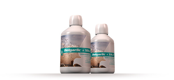 Belgarlic + Vit. E - 500ml by Belgica de Weerd