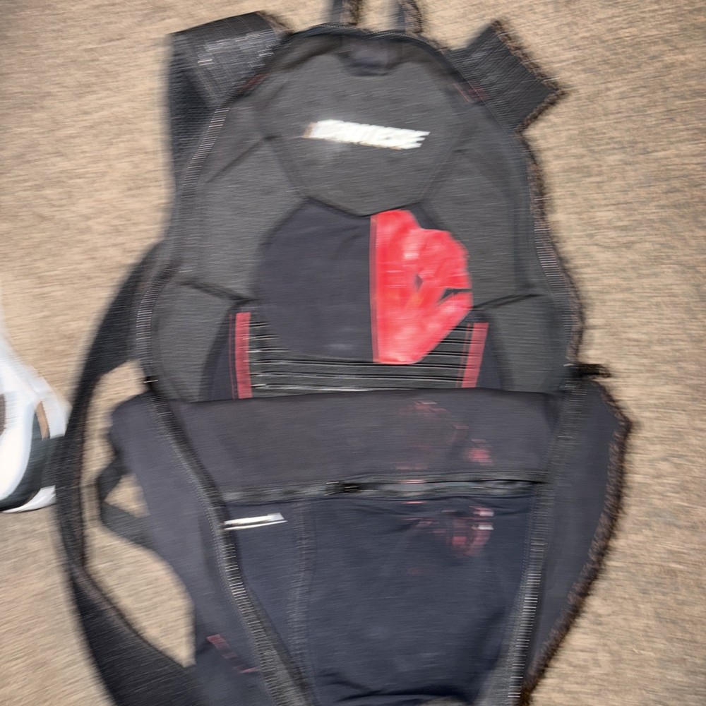 dainese pro pack 1 backpack as shown Padded Used See Description