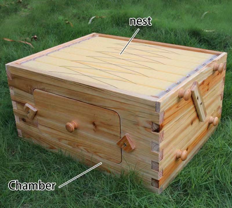 Auto Shed Beehives Super Box + 7 Plastic BPA free Beekeeping Frames Bee Frames
