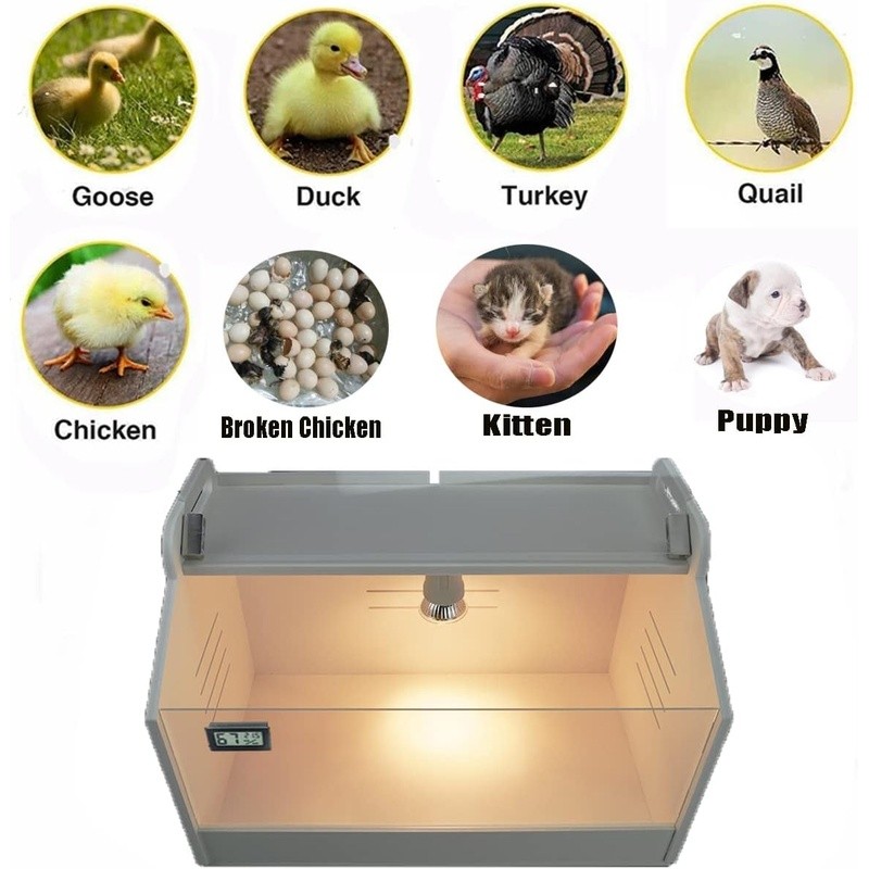 110V 50W Heating Lamp Brooder Box Chicks Ducklings W/ Temp Humidity Display New