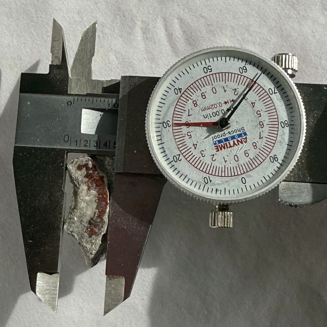 ~28 grs Polished Red Horn Coral Riley's Canyon, Utah Fossil Rugosa / display cab