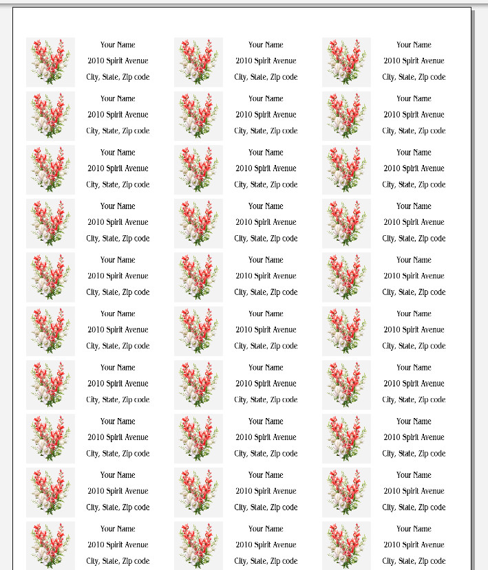 150 Snapdragons Flowers Mailing Return Address Labels Personalized