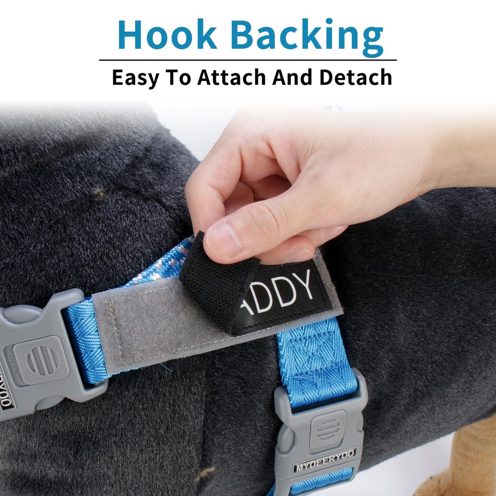 in Training Patch 2 Pcs, in Training Tag Removable to Collar, Harness Medium-...