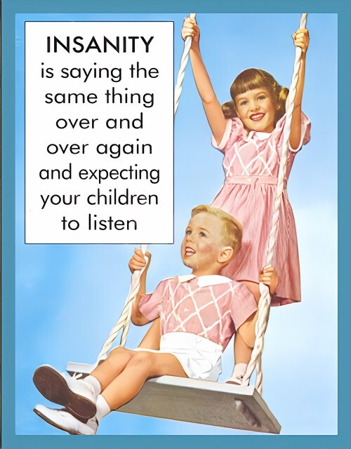INSANITY Saying Same Thing Over Expecting Children Listen -MAGNET