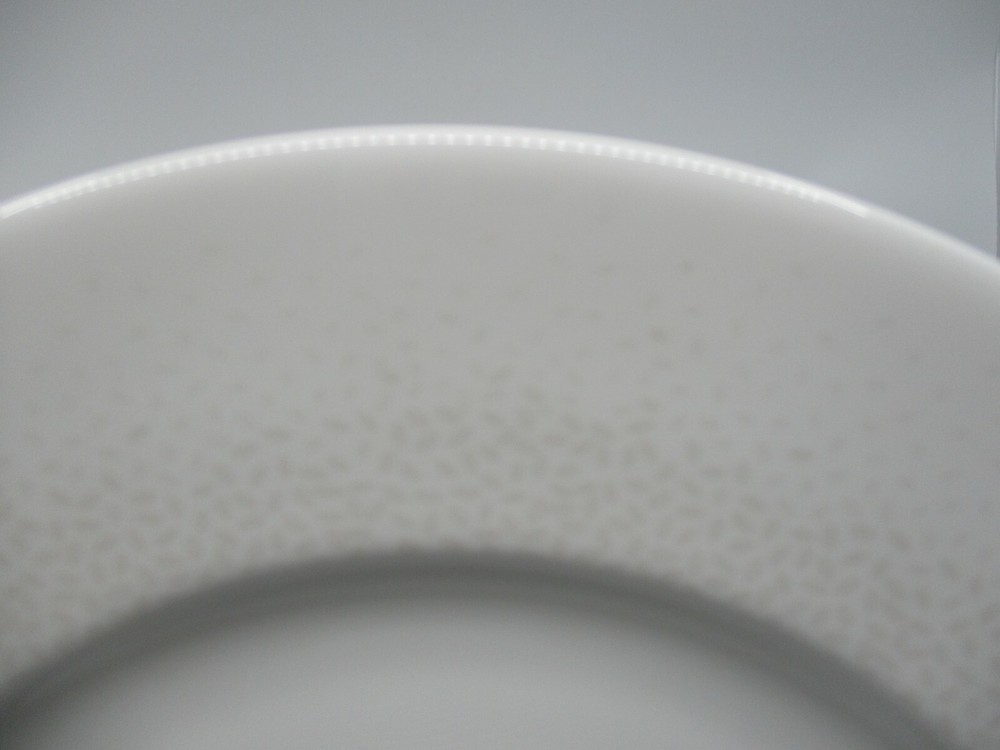 LENOX EFFERVESCENT DINNER PLATE - 11" -0703G