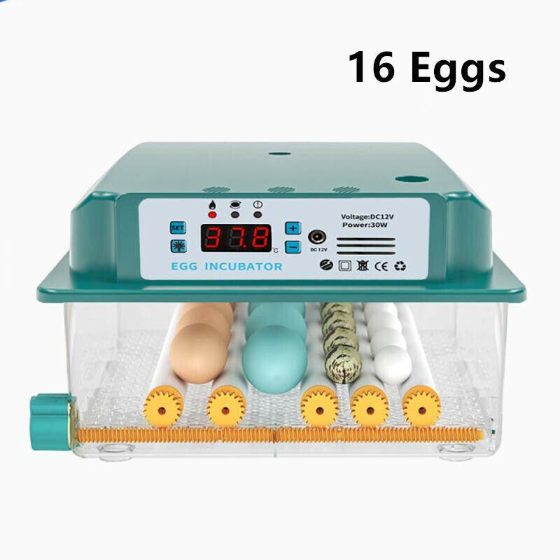 4/12/36Egg Incubator Chicken Hatcher Automatic Egg Turning Temperature Control
