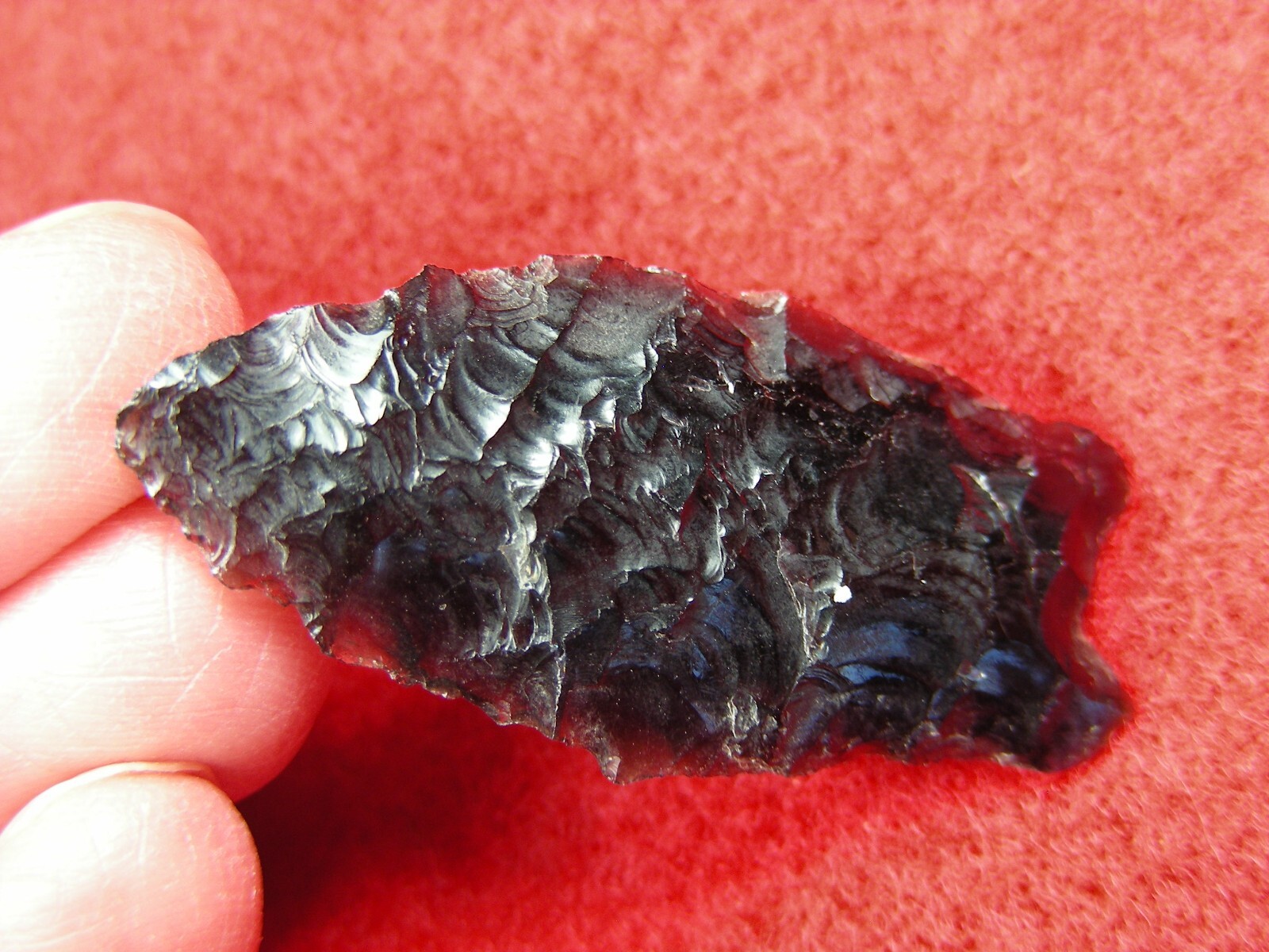 HUMBOLDT 1-1/2" CALIFORNIA Authentic Indian Relics