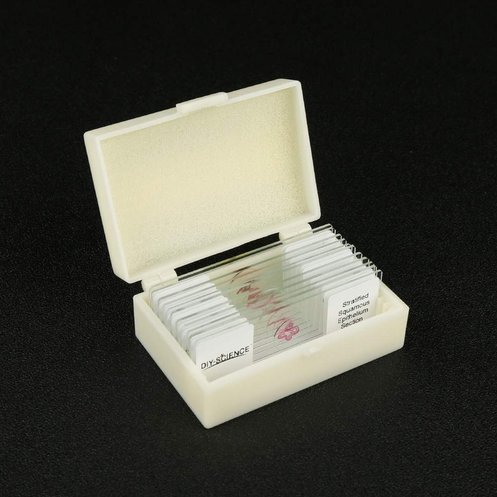 Prepared Epithelium Types Microscope Slides Set, Excellent 11pcs Specimens Re...