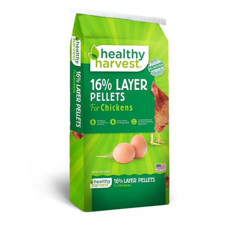 Natural Layer Pellets 16 Percent Complete Feed Chickens Healthy Egg Production