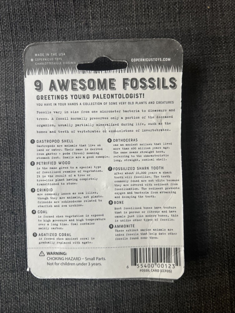 9 Awesome Fossils Copernicus Toys