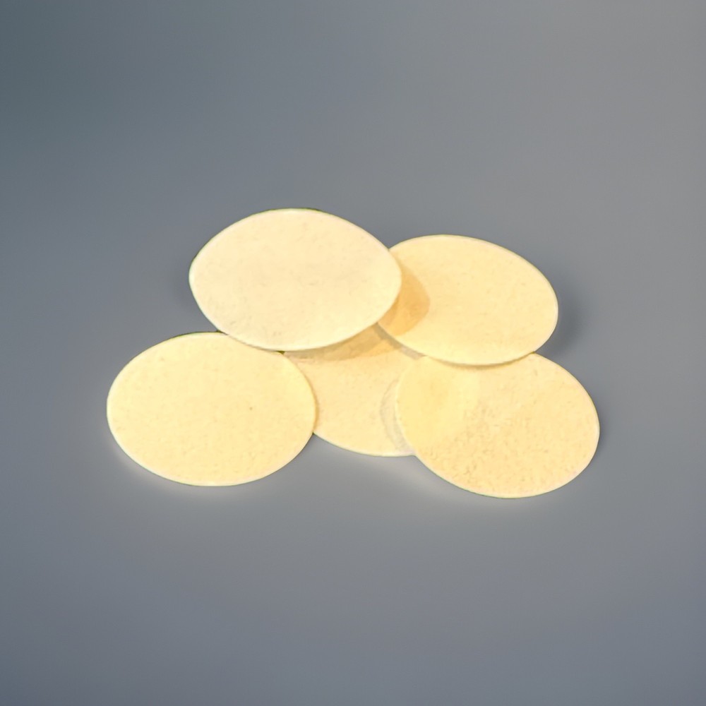 BW Hydrophobic Pump Filter Replacement (5/Pack)  XT-RF-H50