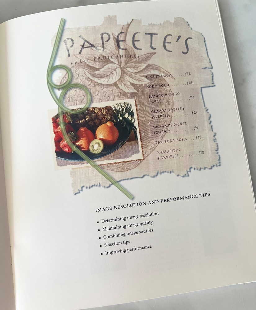 Adobe Photoshop Beyond the Basics Macintosh Version 2 Tutorial