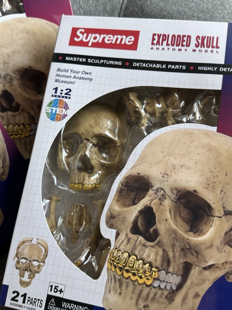Supreme 4D Model Human Skull BRAND NEW