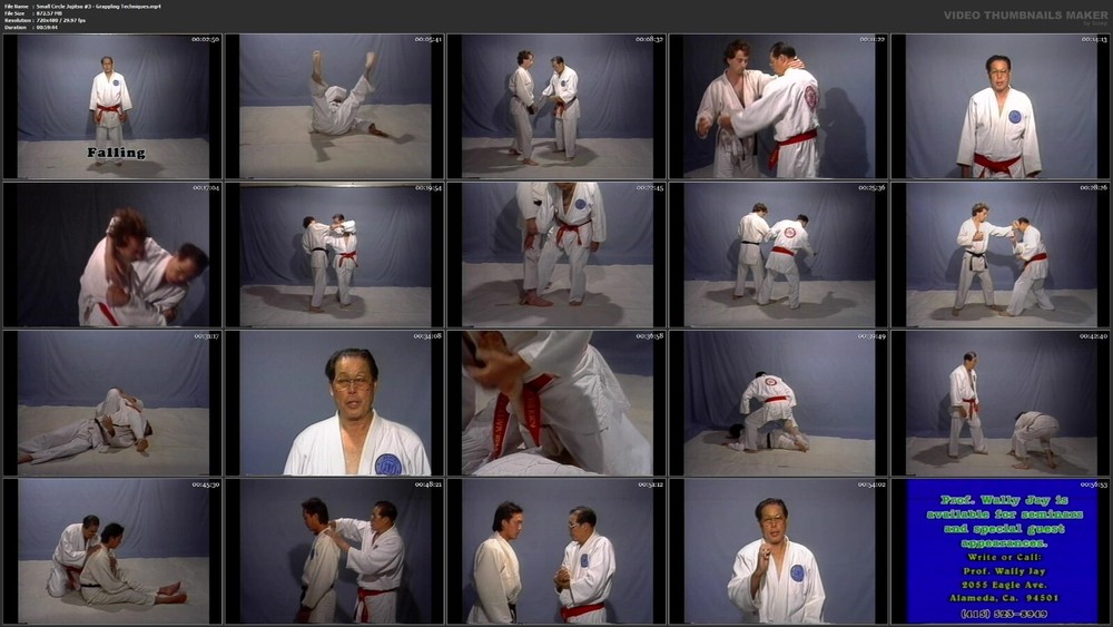 Small Circle Jujitsu starring Wally Jay (5 DVD Set)