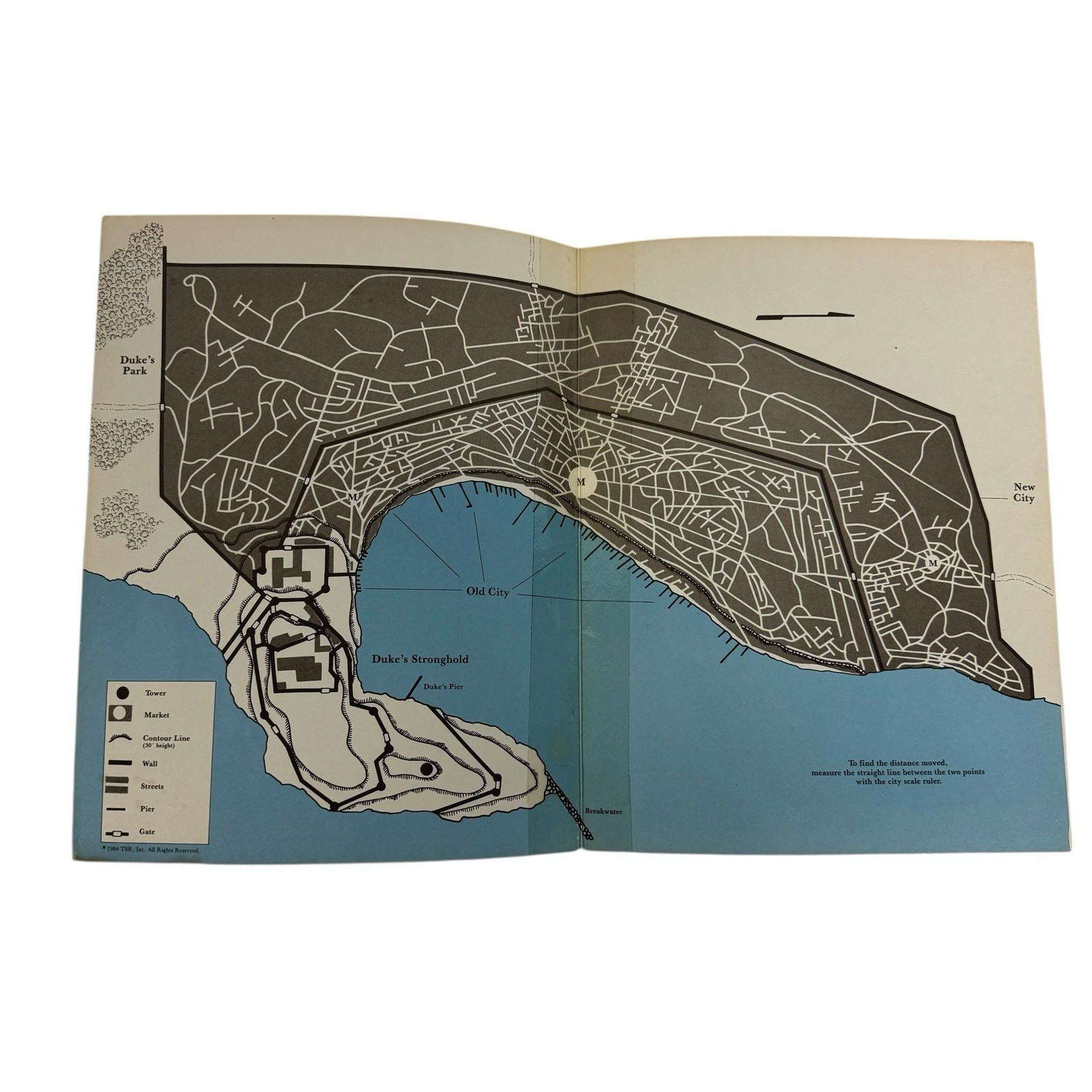 Dungeons & Dragons 1984 B6 The Veiled Society by David Cook TSR 9086