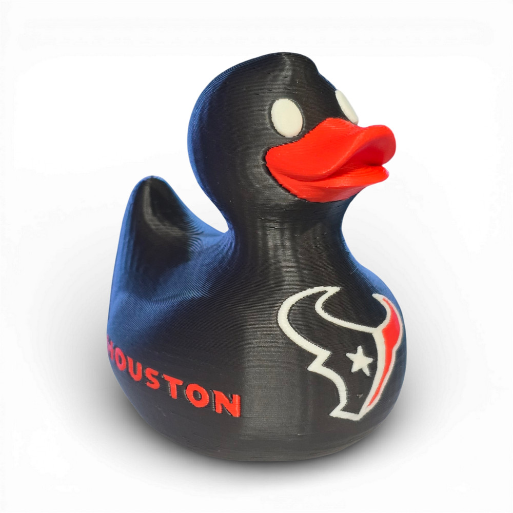 Houston Texans Duck