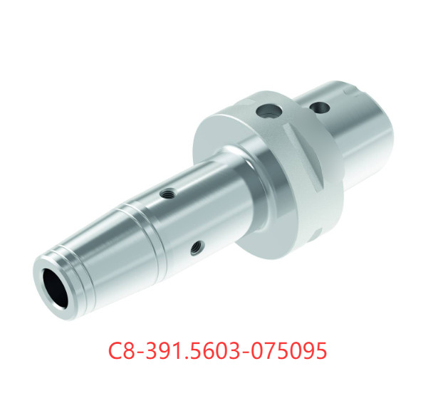 1PCS    ORIGINAL    INSERTS  C8-391.5603-075095