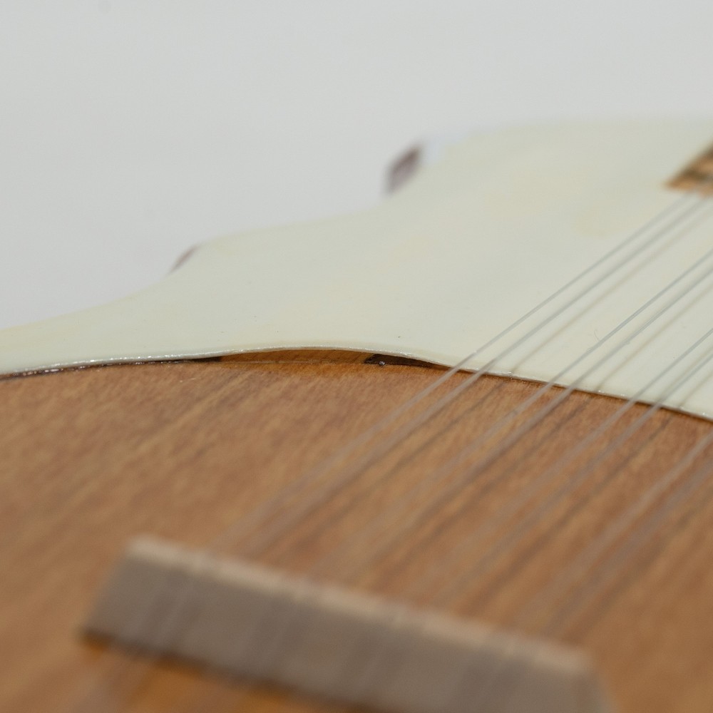 Tahitian Ukulele Banjo 8-String + Bag - Great Condition!